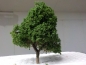 Preview: Baum höhe 11cm, Best.Nr 103