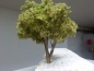 Preview: Baum höhe 17cm, Best.Nr 109