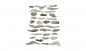 Preview: WC1141 - Creek Bed Ready Rocks