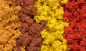 Preview: WFC186 - Herbst-Mix