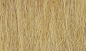 Preview: WFG172 - Ackergras Ernte Gold