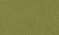 Preview: WT1344 - Verbranntes Gras