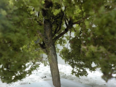 Modellbaum, hellgrün, Höhe 17cm, Best.Nr 113
