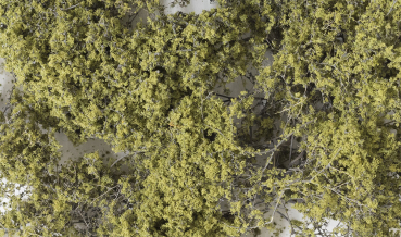 WF1133 - Feinblättriges Laub™ Olivgrün
