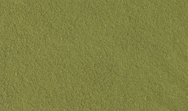WT1344 - Verbranntes Gras