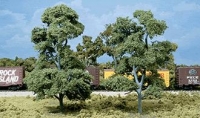 WTK26 - Große alte Bäume