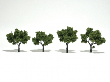 WTR1503 - Hellgrüne Bäume