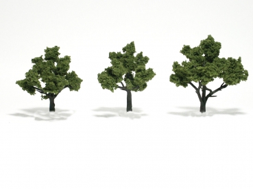 WTR1506 - Hellgrüne Bäume