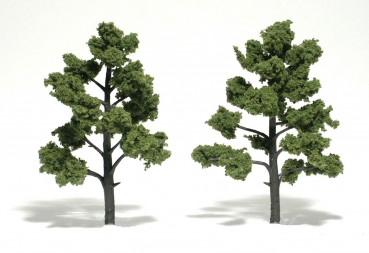 WTR1512 - Hellgrüne Bäume