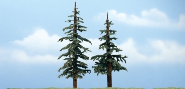 WTR1628 - Nadelbaum