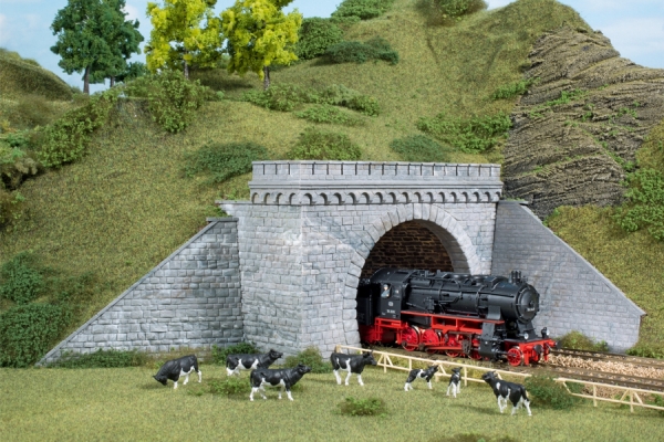 11343 - Tunnelportale zweigleisig