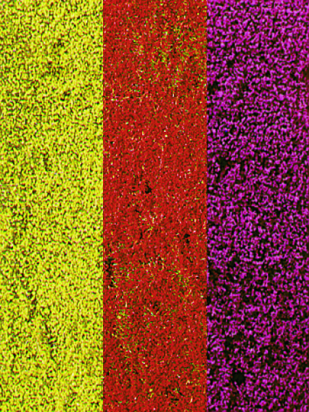 1585 - decovlies Blumendecor bunt