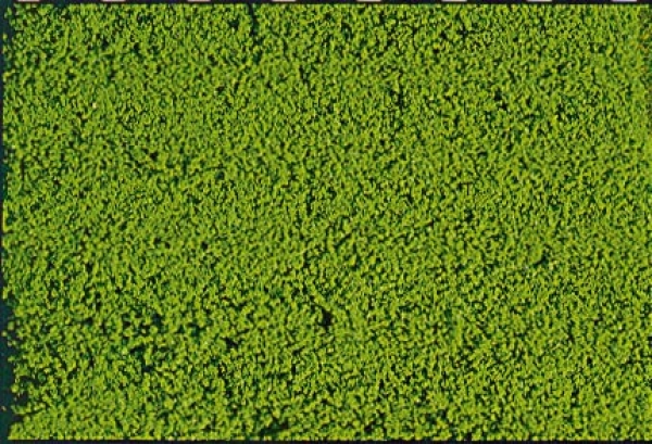 1600 - mikroflor Belaubungsvlies hellgrün