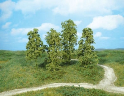 1641 - 12 Naturbäume mittelgrün