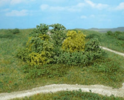1646 - 20 Naturbüsche