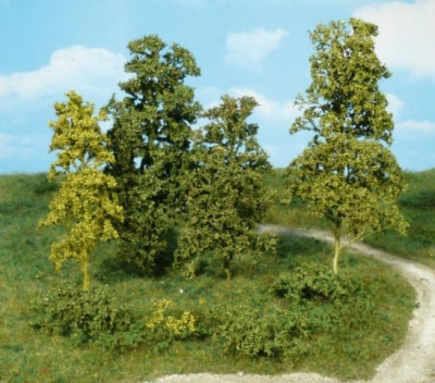1671 - Blätterbäume und Büsche