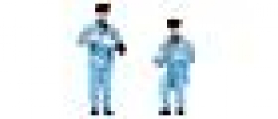 Locomotive Staff