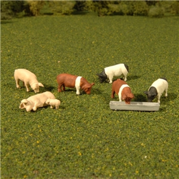 33168 - Pigs