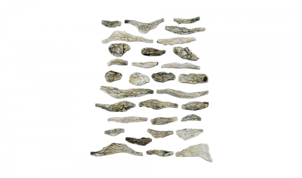 WC1141 - Creek Bed Ready Rocks