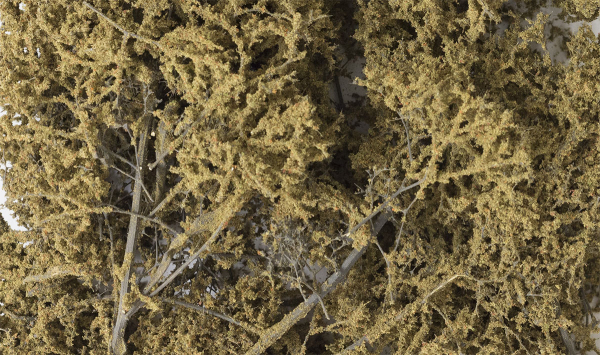 WF1134 - Feinblättriges Laub™ Abgestorbenes Laub