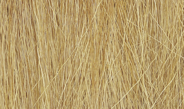 WFG172 - Ackergras Ernte Gold