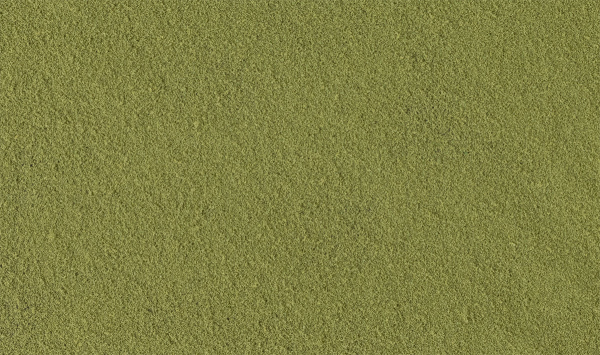WT44 - Gras vertrocknet hellgrün