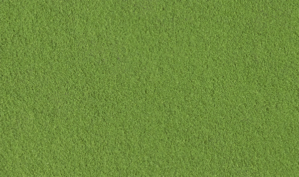 WT45 - Gras Mittelgrün