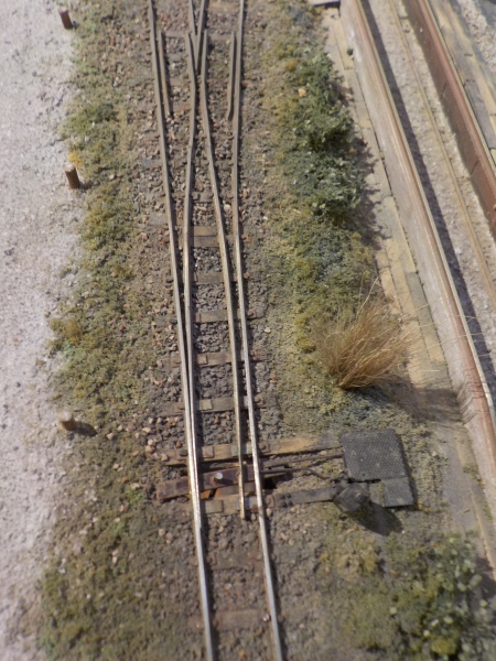 21119-55 - EW 49-50-1:6 Code55