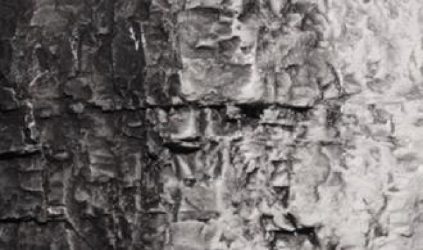 WC1220 - Landschaftsbaufarbe Schwarz