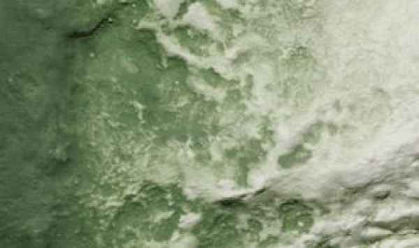 WC1228 - Landschaftsbaufarbe grüner Untergrund