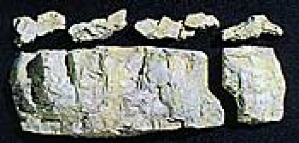 WC1243 - Gießform Basis Felsen
