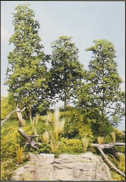WLK956 - Lernbausatz "Detailscenen"