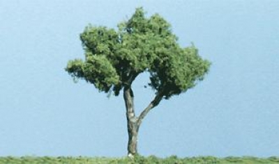 WTK21 - Knorriger Baum