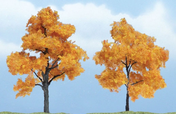 WTR1604 - Ahorn Herbstfarben