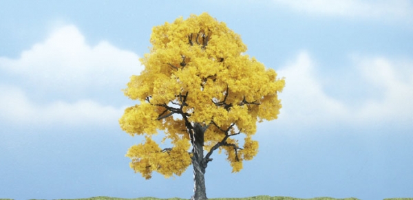 WTR1613 - Buche Herbstfarben